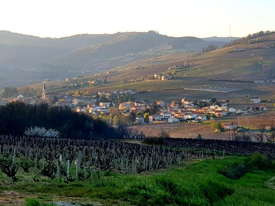 Au Coeur Des Vignes Moulin A Vent Apartman La Chapelle-de-Guinchay Kültér fotó